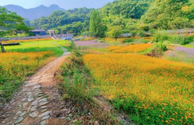 路桥区桐屿凉溪古道：藏于浙东南的千年驿道